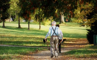 Le pouvoir et la sagesse des seniors : comment leur expérience enrichit notre société